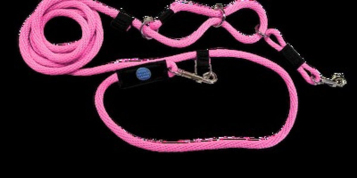 Hands-Free vs. Traditional Leashes: What’s Best?