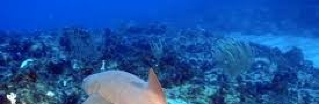 Grand Bay of The Sea Cover Image