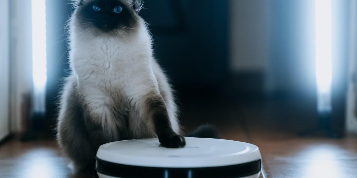 You'll Never Be Able To Figure Out This Robot Vacuum Cleaner For Sale's Tricks