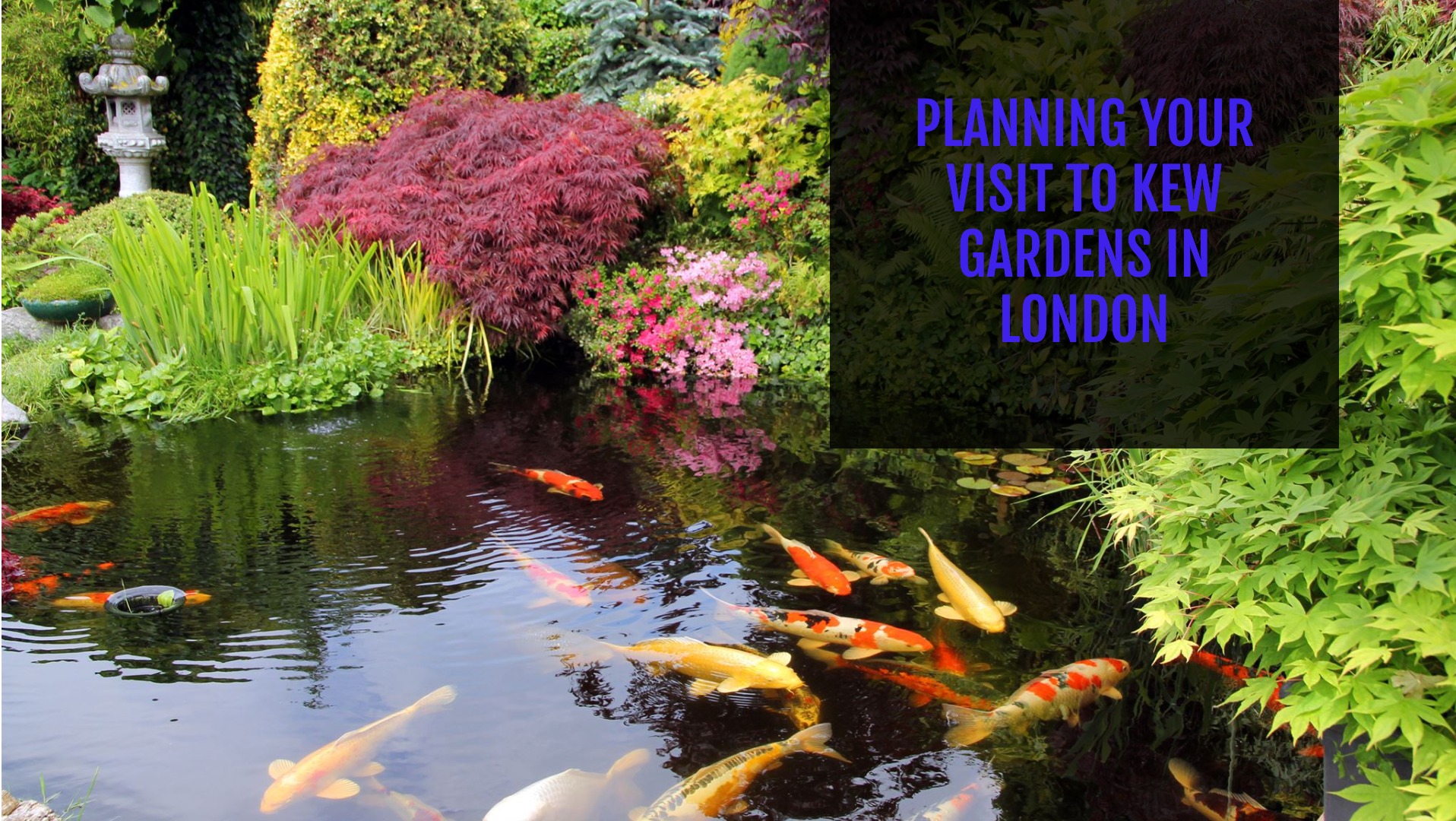 Planning Your Visit to Kew Gardens in London - We Are Explorer