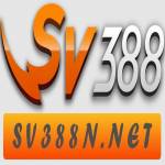 SV388 Net Profile Picture