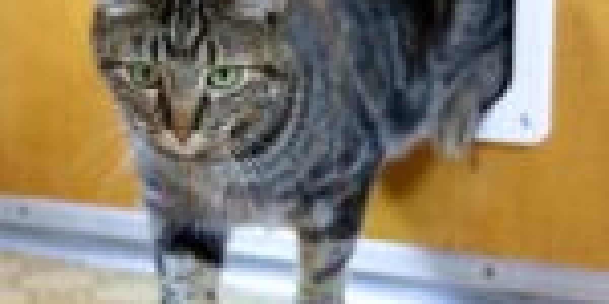 25 Surprising Facts About Pet Door Fitter